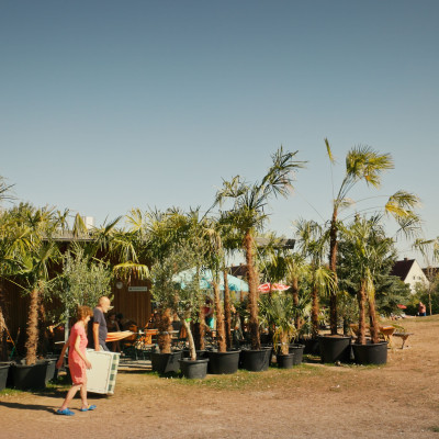 Still Die guten Jahre Reiner Riedler 2024 35